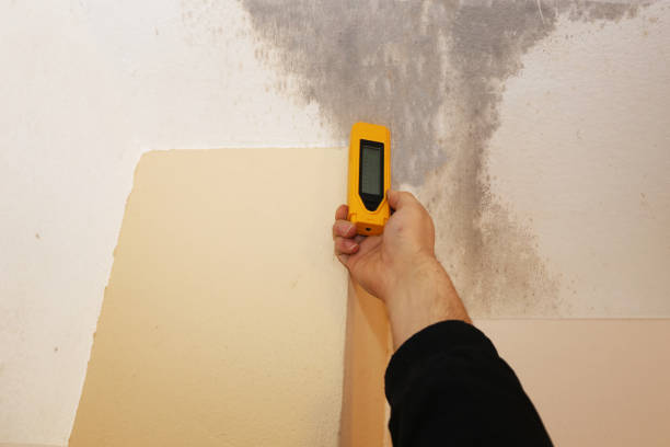 Dehumidification Services in Richwood, WV